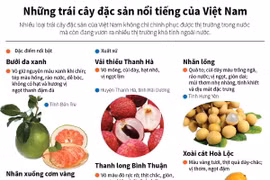 [Infographics] Những trái cây đặc sản nổi tiếng của Việt Nam