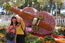 Một tác phẩm bằng hoa tươi độc đáo tại Festival hoa Đà Lạt. (Ảnh: Nguyễn Dũng/TTXVN)