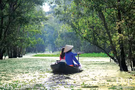 Đắm say với thiên nhiên và đặc sản An Giang mùa nước nổi 