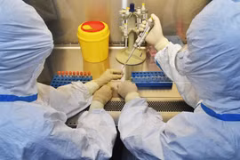 Xét nghiệm các mẫu bệnh phẩm tại phòng thí nghiệm ở tỉnh Tứ Xuyên, Trung Quốc,ngày 15/2. (Ảnh: THX/TTXVN)