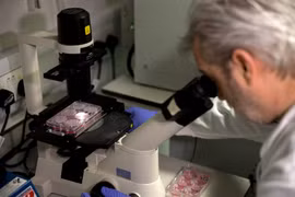 Nghiên cứu vắcxin ngừa virus SARS-CoV-2. (Nguồn: AFP)