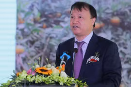 Thúc đẩy hợp tác kinh tế và thương mại giữa Việt Nam và Chile