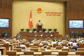 (Ảnh: Doãn Tấn/TTXVN)