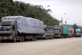 Xe container phía ngoài bãi kiểm hóa cửa khẩu Kim Thành. (Ảnh: Quốc Khánh/TTXVN)