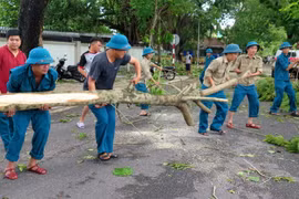Lực lượng chức năng hỗ trợ dọn dẹp cây xanh bị ngã đổ. (Ảnh: Tường Vi/TTXVN)