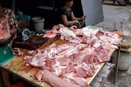 (Ảnh minh họa/TTXVN) 
