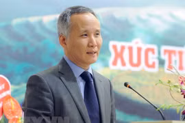 Thúc đẩy thương mại song phương giữa Việt Nam và Hàn Quốc 