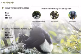 [Infographics] Vườn quốc gia Cúc Phương: Điểm du lịch hấp dẫn du khách