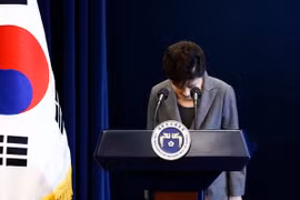 Tổng thống Park Geun-hye xin lỗi người dân trong bài phát biểu trực tiếp trên truyền hình về vụ bê bối chính trị liên quan đến người bạn thân Choi Soon-sil, tại Seoul ngày 29/11. (Nguồn: EPA/TTXVN)