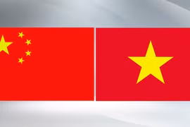 Ảnh minh họa.