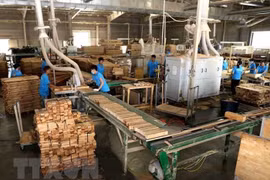 Sản xuất, chế biến gỗ tại Công ty trách nhiệm hữu hạn khai thác, chế biến lâm sản Đà Lạt (Lâm Đồng). (Ảnh: Vũ Sinh/TTXVN)