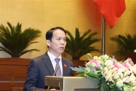 Chủ nhiệm Ủy ban Pháp luật của Quốc hội Hoàng Thanh Tùng. (Nguồn: TTXVN)