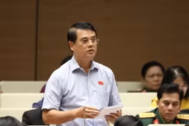 Đại biểu Quốc hội tỉnh Thanh Hóa Nguyễn Hữu Quang phát biểu. (Ảnh: Văn Điệp/TTXVN)