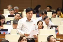 Đại biểu Quốc hội tỉnh Quảng Nam Nguyễn Quang Dũng phát biểu. (Ảnh: Văn Điệp/TTXVN)