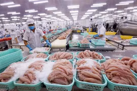 Việt Nam bắt đầu chuyển sang giai đoạn thích ứng an toàn với dịch bệnh, đẩy mạnh khôi phục và phát triển kinh tế trong giai đoạn “bình thường mới”. (Ảnh: Danh Lam/TTXVN))