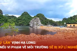 Giám sát dự án 'lấn Vịnh Hạ Long' về thực hiện bảo vệ môi trường