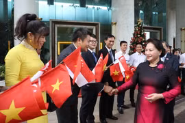 Đại sứ quán Việt Nam và Cộng đồng người Việt tại Singapore đón Chủ tịch Quốc hội Nguyễn Thị Kim Ngân, tại Sân bay Quốc tế Changi, ngày 26/11. (Ảnh: Trọng Đức/TTXVN)