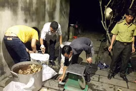 Phát hiện một trường hợp nấu cao động vật hoang dã trái phép