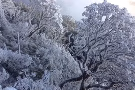 Băng tuyết ở Sa Pa. (Nguồn: Vietnam+)