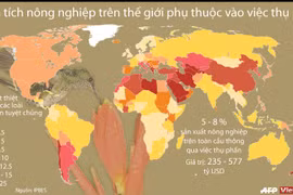 [Infographics] Tầm quan trọng của việc thụ phấn với nông nghiệp