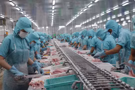 Quy trình sản xuất tại một cơ sở chế biến thủy sản của tỉnh Đồng Tháp. (Ảnh: Chương Đài/TTXVN)