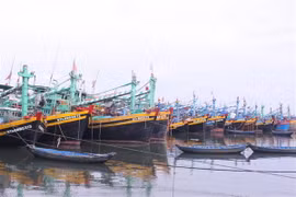 Tàu, thuyền neo đậu tại cảng cá Phan thiết. (Ảnh: Hồng Hiếu/TTXVN)