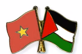 Điện mừng nhân 30 năm thiết lập quan hệ ngoại giao Việt Nam-Palestine