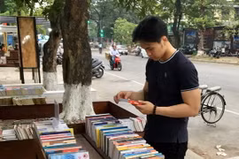(Ảnh minh họa: Quốc Việt/TTXVN)
