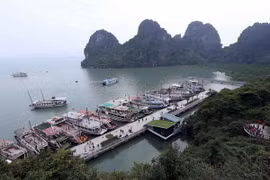 (Ảnh: Quang Quyết/TTXVN)