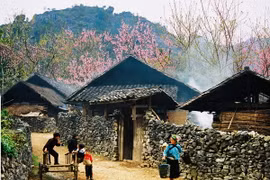Cuộc sống thường nhất của người dân Cao nguyên đá Đồng Văn. (Ảnh: Thanh Hà/TTXVN)