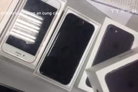 [Video] Hà Nội thu giữ nhiều điện thoại iPhone 7 nhập lậu