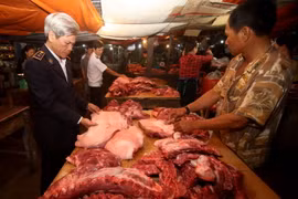 Nhân viên Thú y kiểm tra sản phẩm thịt lợn tại một hộ kinh doanh ở thị trấn Hai Riêng, huyện Sông Hinh, Phú Yên. (Ảnh: Vũ Sinh/TTXVN)