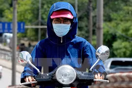  (Ảnh minh họa: Quang Quyết/TTXVN)