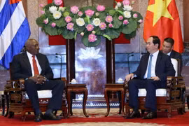 Chủ tịch nước Trần Đại Quang tiếp Phó Chủ tịch Hội đồng nhà nước Cuba Salvador Valdés Mesa. (Ảnh: Doãn Tấn/TTXVN) 