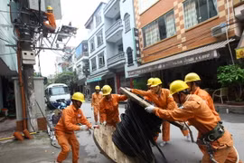 Ảnh minh họa. (Nguồn: TTXVN)