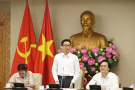 Phó Thủ tướng Vũ Đức Đam phát biểu chỉ đạo. (Ảnh: CTV/Vietnam+)