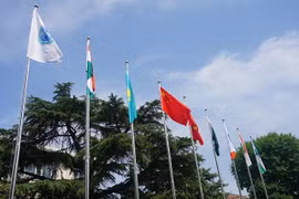 (Nguồn: SCO)