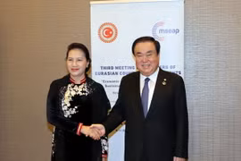 Chủ tịch Quốc hội Nguyễn Thị Kim Ngân hội kiến Chủ tịch Quốc hội Hàn Quốc Moon Hee Sang. (Ảnh: Trọng Đức/TTXVN)
