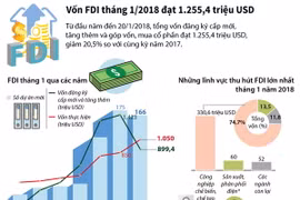 [Infographics] Thu hút vốn FDI tháng 1 đạt hơn 1.255 triệu USD