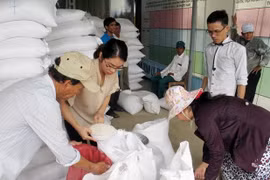 (Ảnh minh họa: Công Thử/TTXVN)