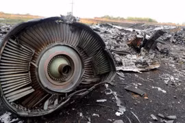 Hiện trường vụ máy bay MH17. (Nguồn: AFP/Getty Images)