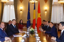 Thủ tướng Nguyễn Xuân Phúc hội kiến với Tổng thống Romania Klaus Werner Iohannis. (Ảnh: Thống Nhất/TTXVN)