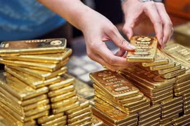 (Nguồn: thestar.com.my)