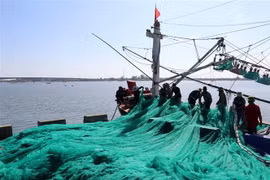 Ngư dân Quảng Trị được hỗ trợ bảo hiểm khi hành nghề khai thác hải sản xa bờ. (Ảnh: Nguyên Lý/TTXVN)
