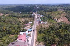 Thủ đô mới đặt tại tỉnh Đông Kalimantan trên đảo Borneo. (Nguồn: AFP)