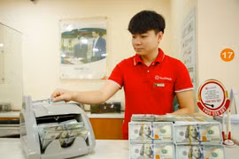 IFC tăng gấp đôi hạn mức tài trợ thương mại cho SeABank lên 40 triệu USD. (Ảnh: PV/Vietnam+)