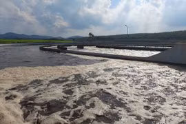 WB tài trợ 231 triệu USD cải thiện môi trường sống cho người dân ở Bình Dương. (Ảnh: PV/Vietnam+)