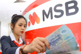 MSB dành 3.000 tỷ đồng Tín dụng Xanh cho doanh nghiệp phát triển bền vững. (Ảnh: PV/Vietnam+)