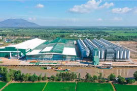 SHB đặt mục tiêu trong vòng 5 năm tới Tín dụng Xanh sẽ chiếm 10% trên tổng dư nợ của ngân hàng. (Ảnh: Vietnam+)