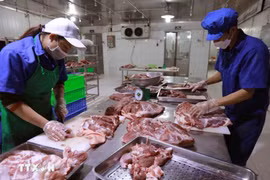 Chuẩn bị nguyên liệu thịt lợn để chế biến tại cơ sở sản xuất của Hợp tác xã Hoàng Long ở thôn Tri Lễ, xã Tân Ước, huyện Thanh Oai, Hà Nội. (Ảnh: Vũ Sinh/TTXVN)